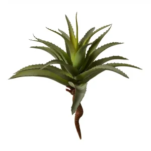 Speedtsberg – Aloe vera kunstig H 35 cm